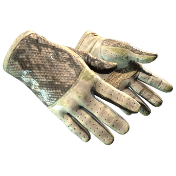 ★ Driver Gloves | King Snake
