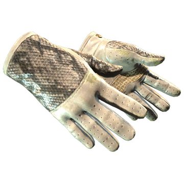 ★ Driver Gloves | King Snake