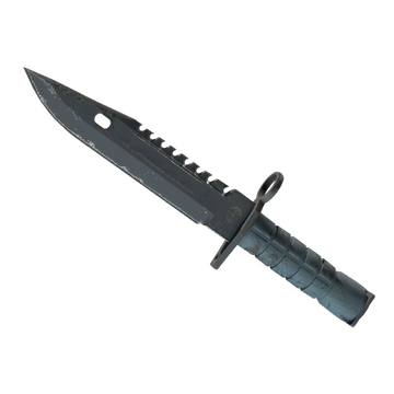 ★ M9 Bayonet | Night