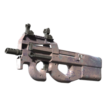 P90 | Wash me | Detailed Overview | Updated