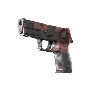 P250 | Constructivist