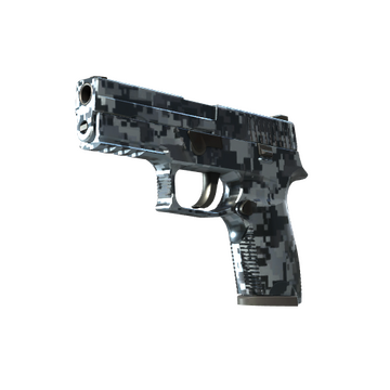 P250 | Steel Disruption