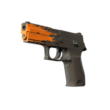 P250 | Splash