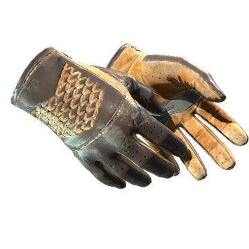 ★ Driver Gloves | Overtake