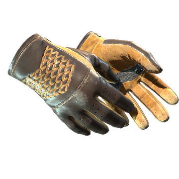 ★ Driver Gloves | Overtake