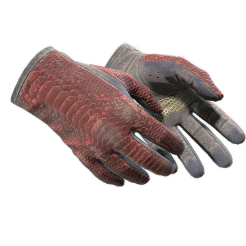 ★ Driver Gloves | Dragon Fists