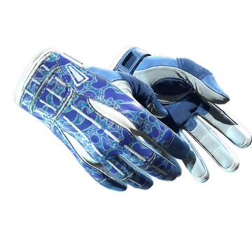 ★ Sport Gloves | Amphibious
